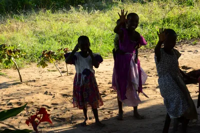 DSC_8177 (Large).JPG